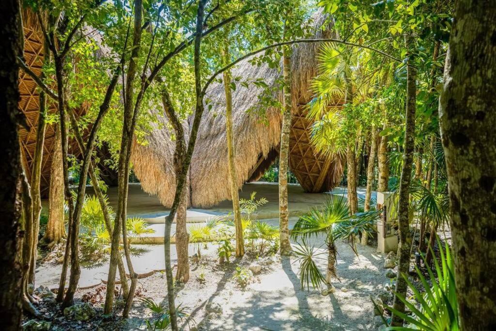 Jungle Lounge Barefoot Luxury 3br Two Level Penthouse With Pool In Luum Zama Appartement